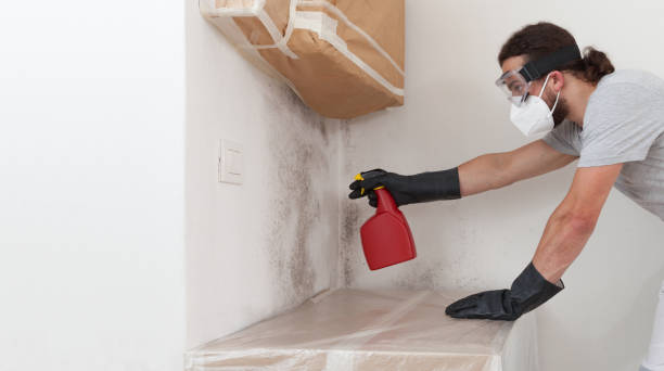 Professional Basement Mold Remediation technician working in Landenberg, PA