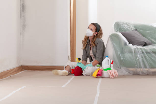Reliable Basement Mold Remediation contractor in Landenberg, PA by WQB Mold Removal